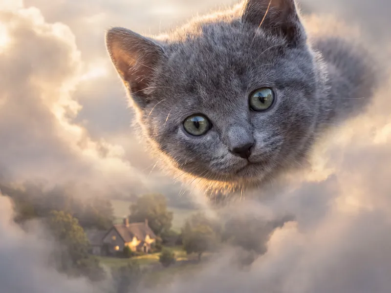 Watching Over the Old Homestead