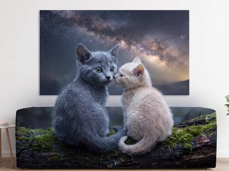 Starlit Nose Boop Canvas