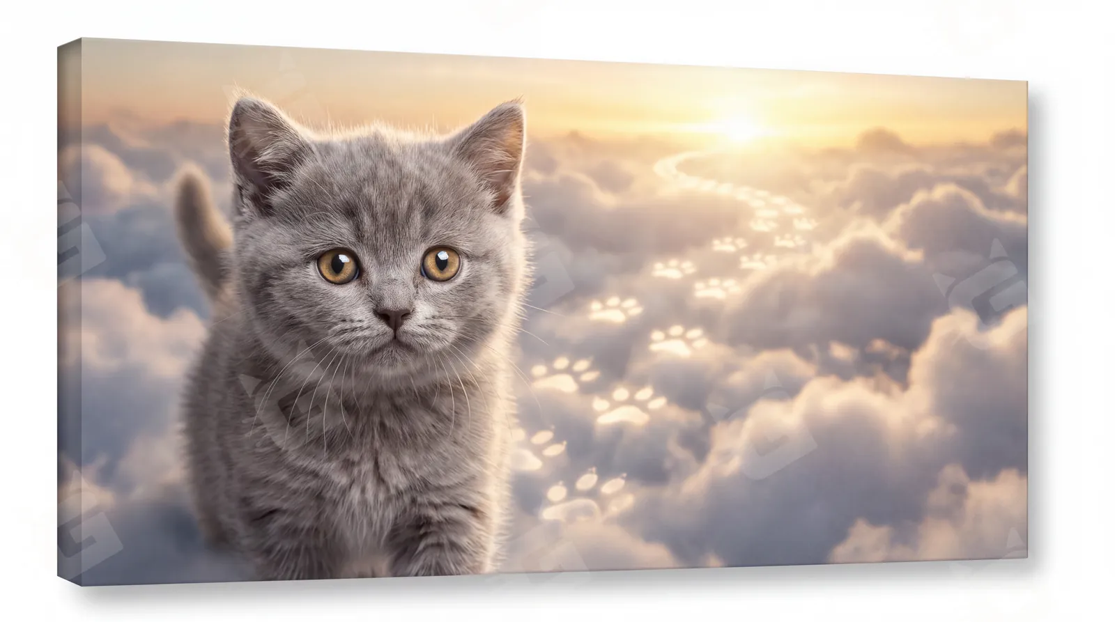 Forever Framed, Pawprints Above