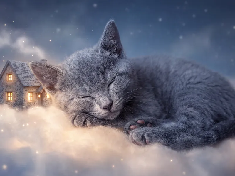 Little Blue Angel's Cloud Cottage